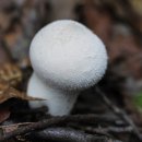 광대목장 이미지