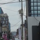 한정 | 농담곰 팝업 성수, 컬러곰 담곰이 나가노마켓 한국 한정 후기