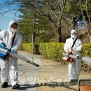 매일관광(주) 이미지