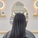 뮤즈 앤 포레 이미지