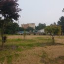 여주한강공인중개사사무소 이미지