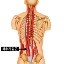 아호연필라테스 네이버블로그