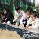 수성초교 병설유치원 이미지