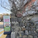 사계리-1 | 제주도 추억사진 남기기, “사계리사진관” 내돈내산 솔직후기