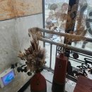 리버타운사우나 이미지