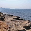 공룡 발자국화석지 이미지