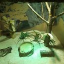 스랍들어린이집 이미지