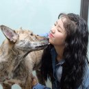 혜정농장 이미지