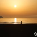 태안슈퍼 Daum카페