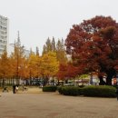정자나무공원 이미지