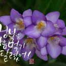 2017.3.3..금요일...삼삼하게 출석~!!♡ 이미지