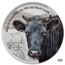 제주 흑우 이미지