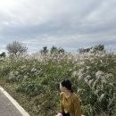 CU광주효천점 | 10월 둘째주 일상 [제주도여행🛫, 서창 억새축제, 광주 꾀꾀로 두바이디저트, 할미집 1박2일]