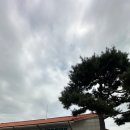 파인파골프클럽 이미지