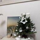 (주)그린랩스 | 루시아이 '조이 미니트리(45cm) 풀세트' 내돈내산 후기