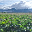 생태공원 이미지