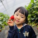 동부어린이집 이미지