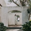 김용지 카카오 검색결과