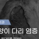 조양메디컬 이미지