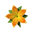 천진민박 이미지