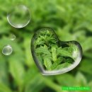 큰집농장 이미지