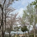 헤어샵에일린 | 압구정미용실추천 프리미엄 염색맛집 제이나스타일