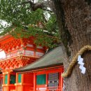 오교우사 이미지