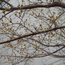 성수동13 이미지