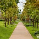 아름드리공원 화장실 이미지