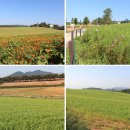 남도1농장 이미지