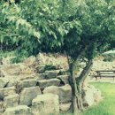 초동민박 이미지