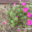 회천4동 주민센터 이미지