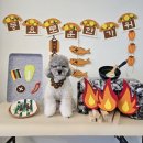 안평역 4번출구 | [부산/기장] 애견동반 카페 ‘일로우’