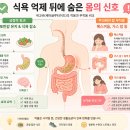 거북시장약국 | 위고비 한달 후기 솔직 정리｜한 달 맞아본 현실 변화와 부작용
