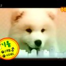 주주클럽 카카오 검색결과