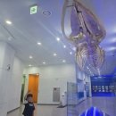 수산과학관 종합편의시설 | 부산 국립수산과학관 | 기장 아이와 가볼 만한 곳