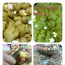 미숙농장 이미지