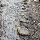 태안사 야영장 이미지