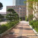 센텀초등학교 이미지