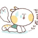 오늘의움직임요가스튜디오광교