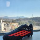 F50 | 아디다스 주니어 F50 클럽 VEL 후기 정리 | 어린이 축구화 추천