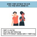 파라바이러스 주의사항 공지합니다 이미지