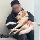 오복동물치과병원 이미지