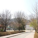 능원초등학교(병설) 이미지