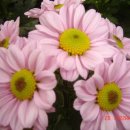 청암농장 이미지