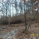 구봉산근린공원 이미지