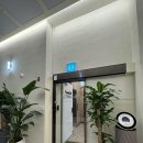 골프 인 이미지