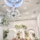 평택 최신상 웨딩홀✨ | 평택 엔팰리스 컨벤션 당일 계약 찐 후기🕊️