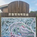 천문대 별빛정원 이미지