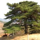 지리산둘레길 3코스 이미지